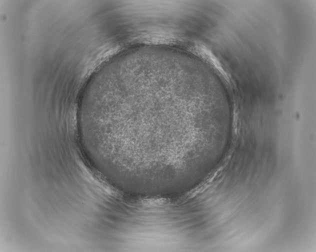 X0000088570202200706151655