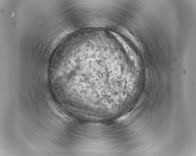 X0000088570203200706151655