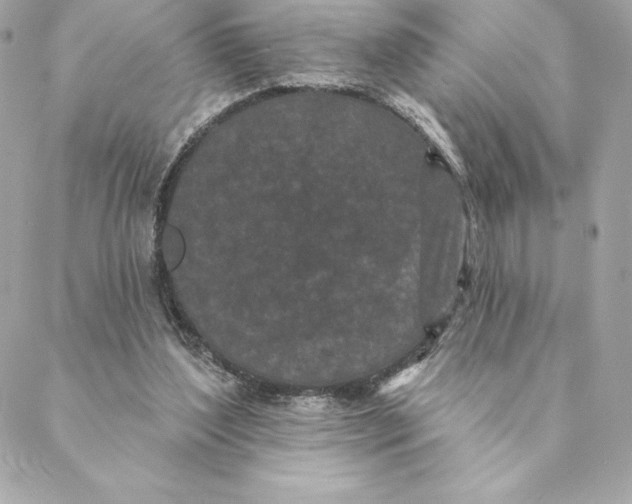 X0000088570204200706151655