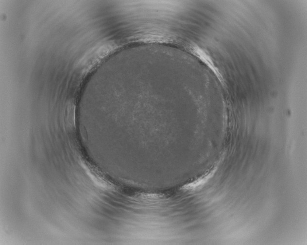 X0000088570205200706151655