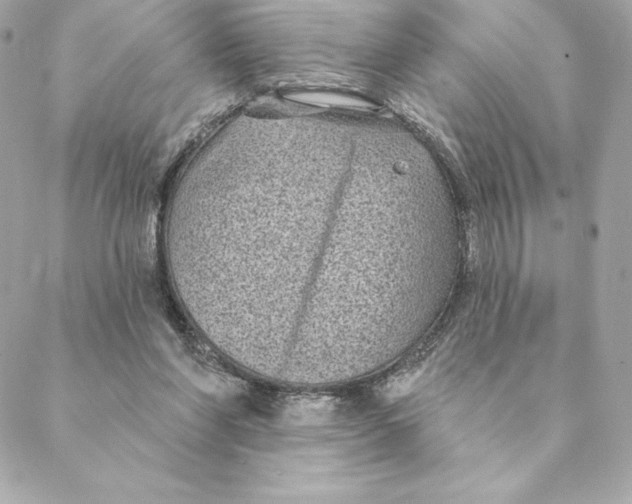 X0000088570206200706151655