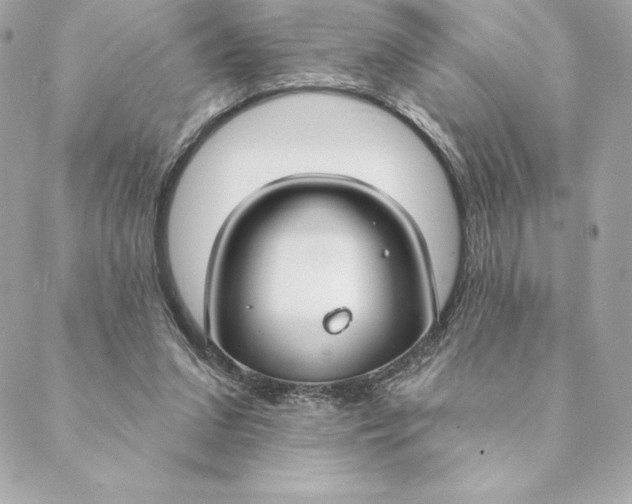 X0000088570207200706151655