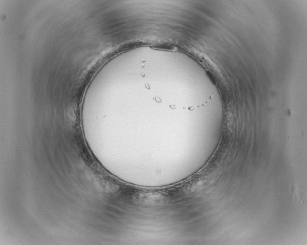 X0000088570208200706151655