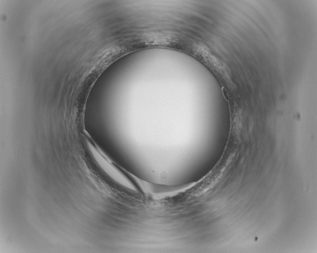 X0000088570209200706151655