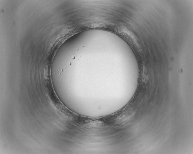 X0000088570210200706151655