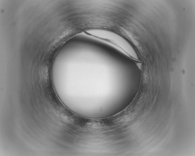 X0000088570211200706151655