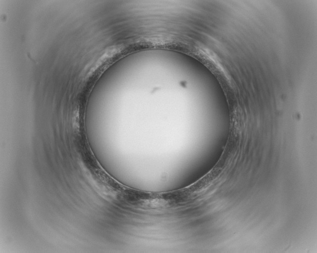 X0000088570212200706151654