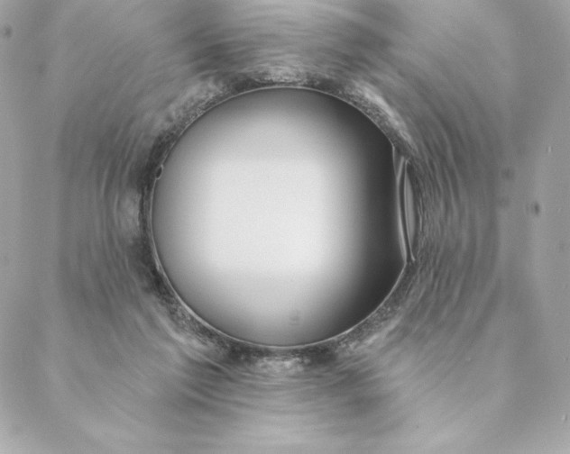 X0000088570213200706151654