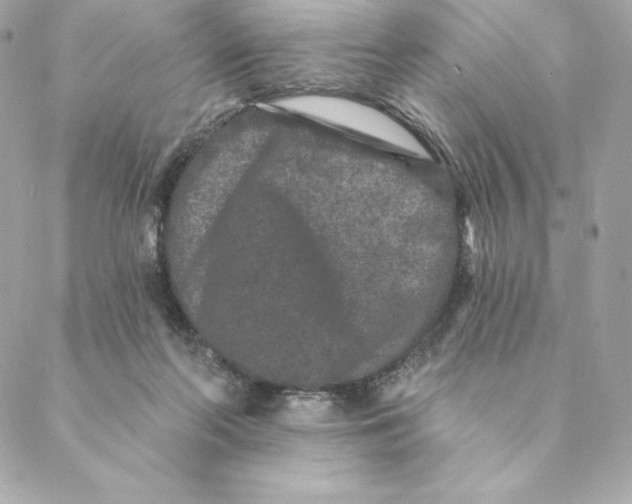 X0000088570214200706151654