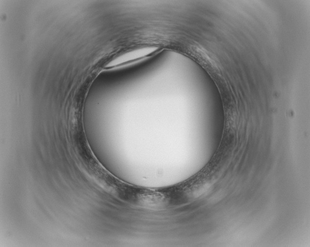 X0000088570215200706151654