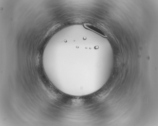 X0000088570216200706151654