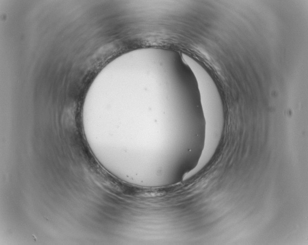 X0000088570217200706151654