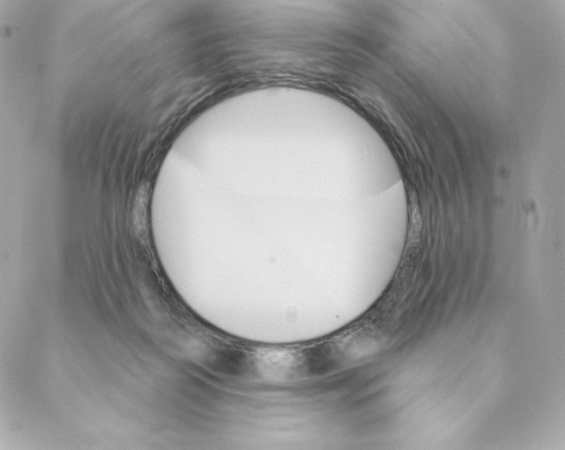 X0000088570218200706151654