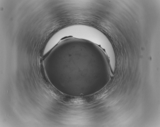 X0000088570219200706151654