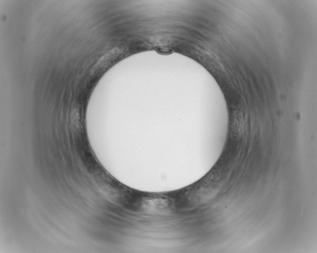 X0000088570220200706151654