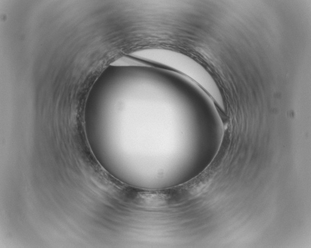 X0000088570221200706151654