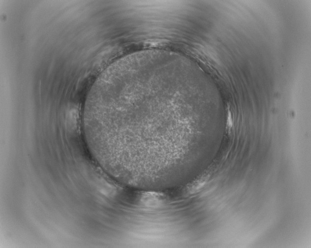 X0000088570222200706151654