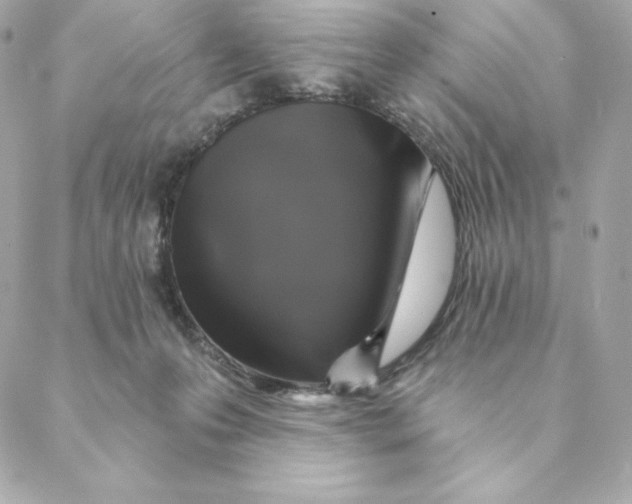 X0000088570223200706151654