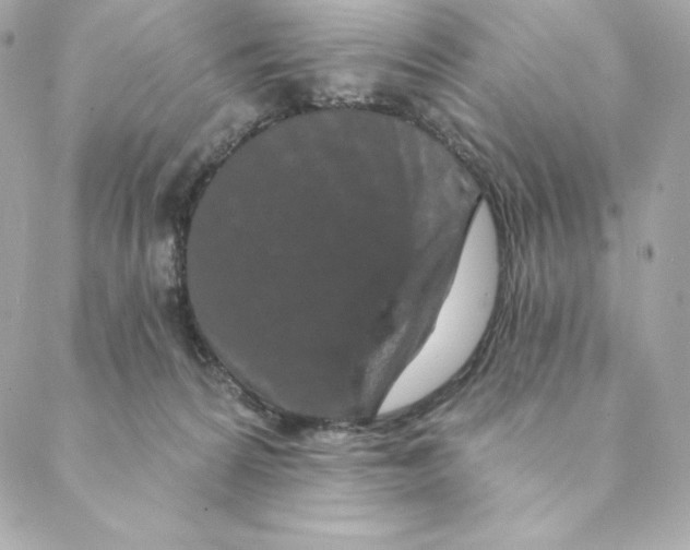 X0000088570224200706151654