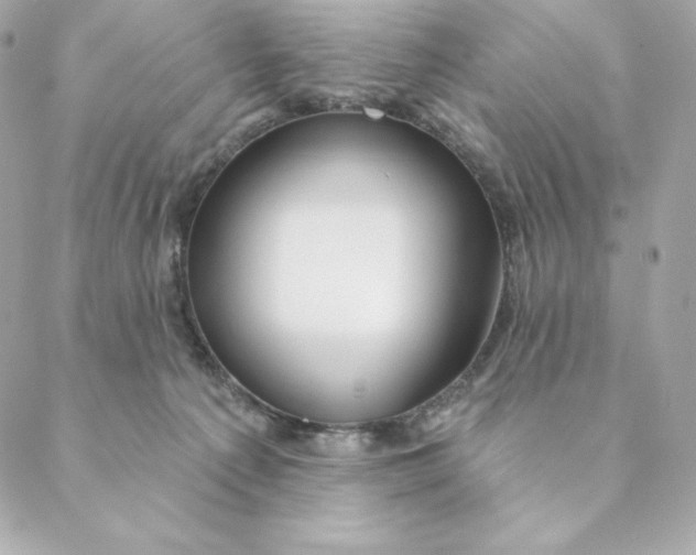 X0000088570225200706151654