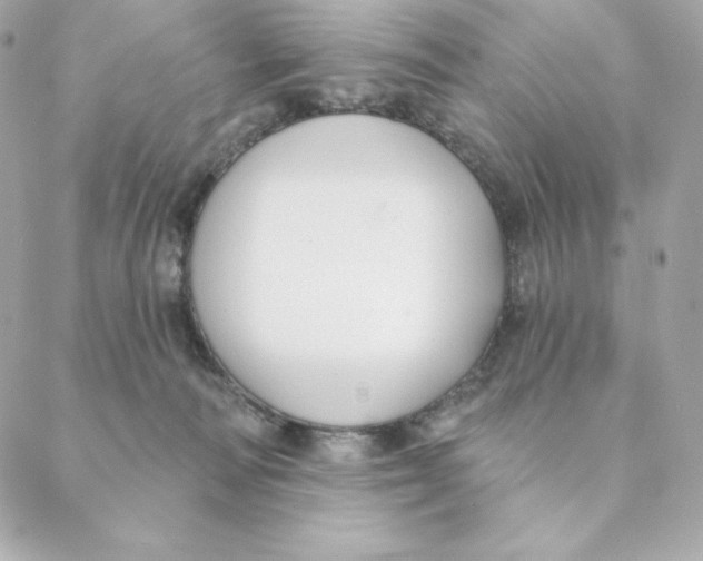 X0000088570226200706151654