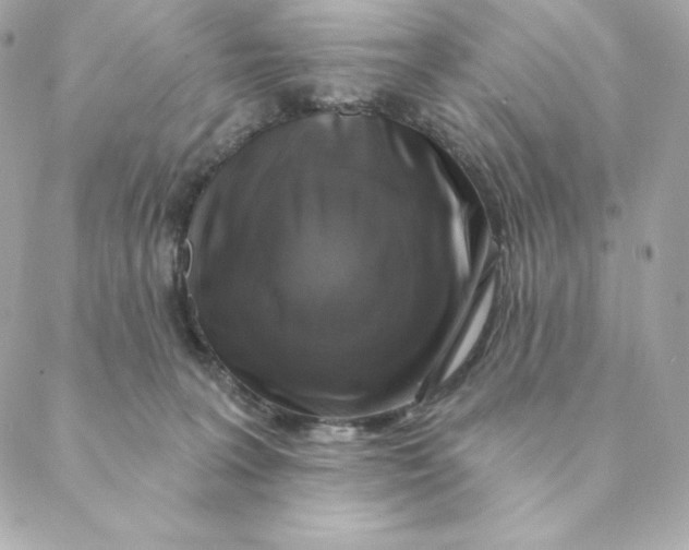 X0000088570227200706151654