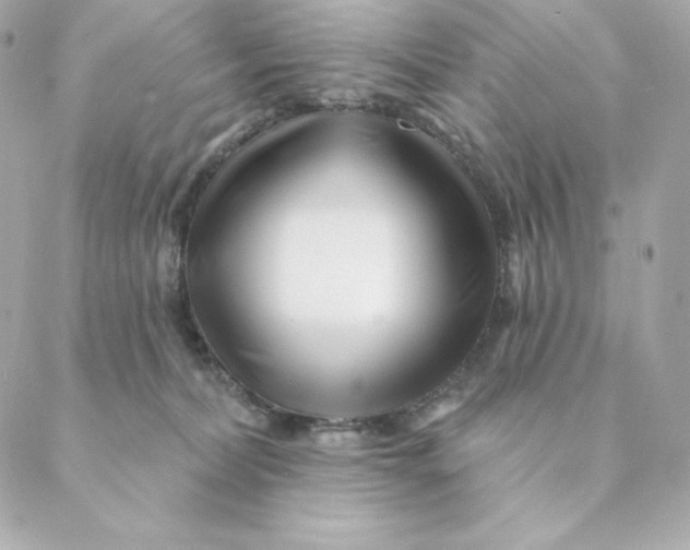 X0000088570228200706151654