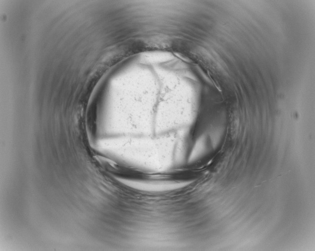 X0000088570229200706151654