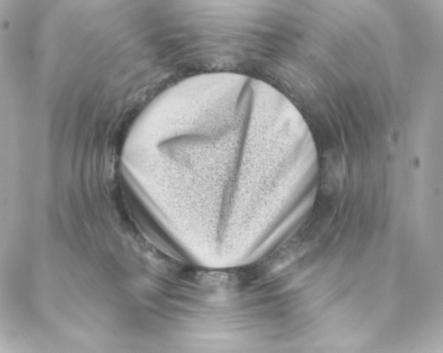 X0000088570230200706151654