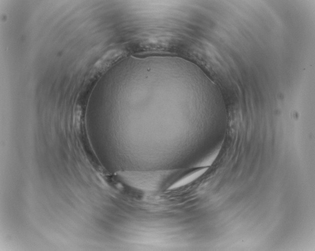 X0000088570231200706151654