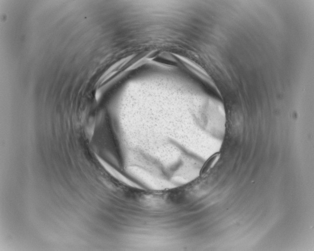 X0000088570232200706151654