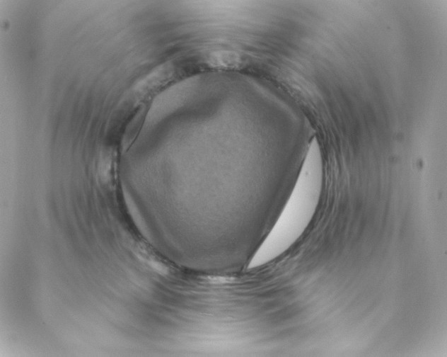 X0000088570233200706151654