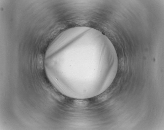 X0000088570234200706151654