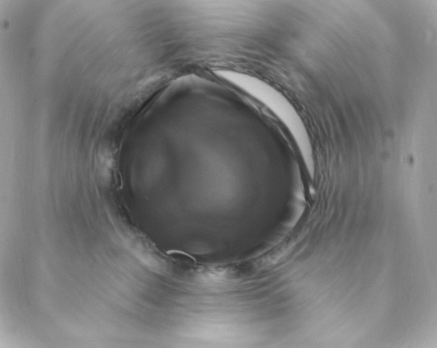 X0000088570235200706151654