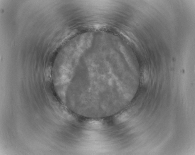 X0000088570236200706151654