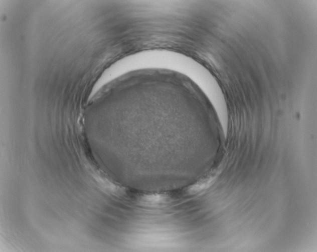 X0000088570237200706151654