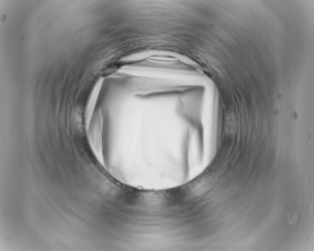 X0000088570238200706151654