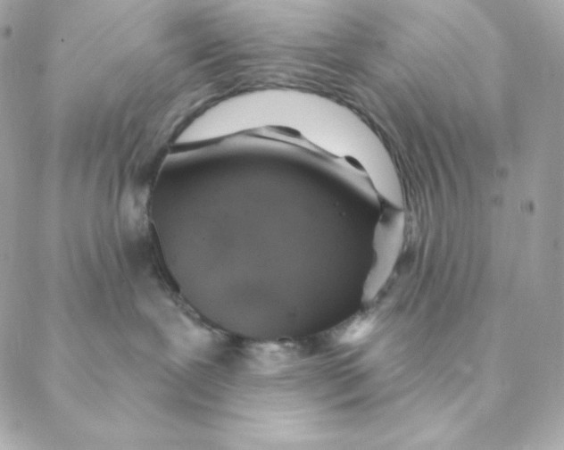 X0000088570239200706151654