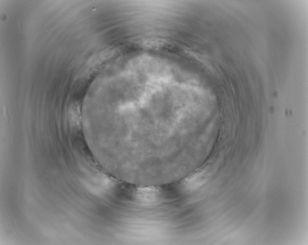 X0000088570240200706151654