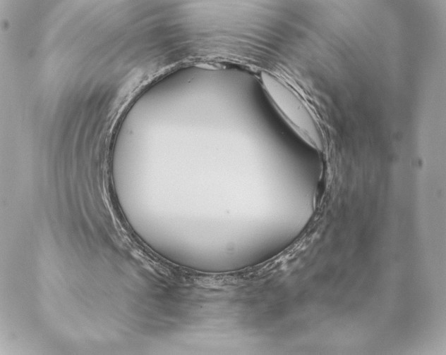 X0000088570241200706151653