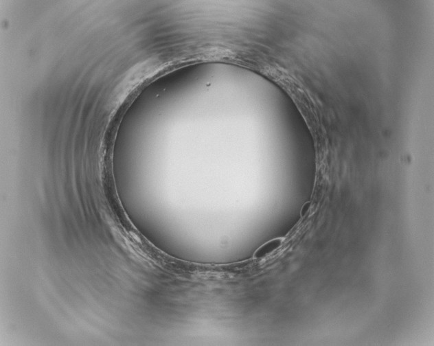 X0000088570242200706151653