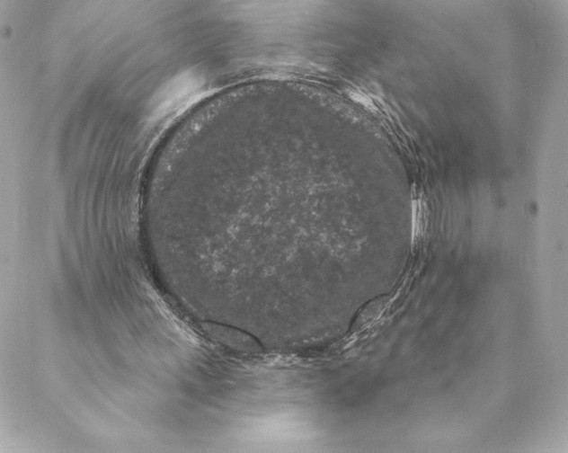 X0000088570243200706151653