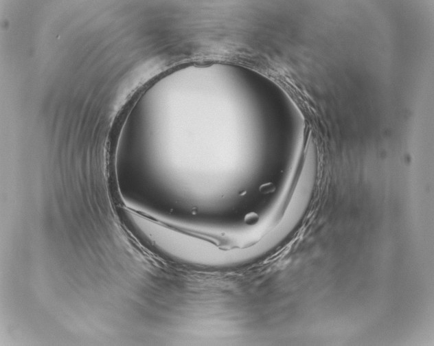 X0000088570244200706151653