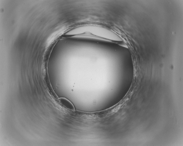 X0000088570245200706151653