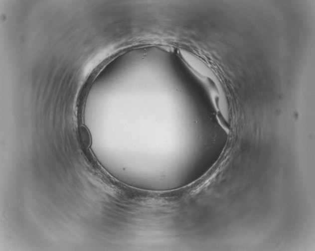 X0000088570246200706151653