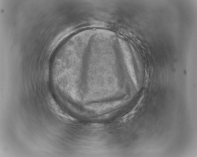 X0000088570247200706151653