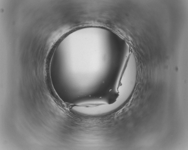 X0000088570248200706151653