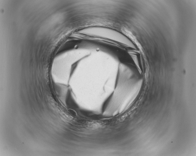 X0000088570249200706151653