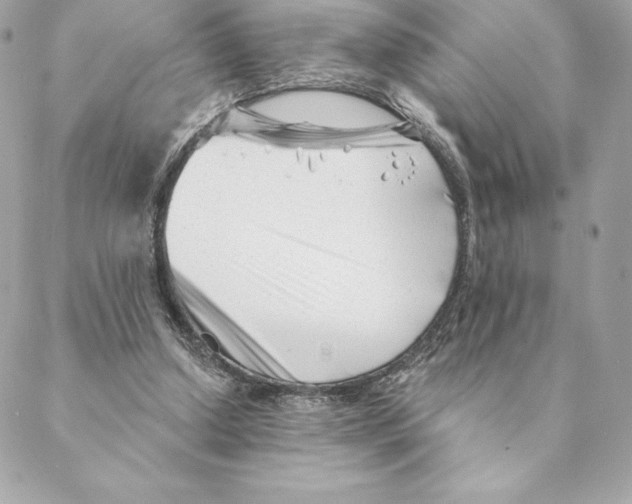 X0000088570250200706151653