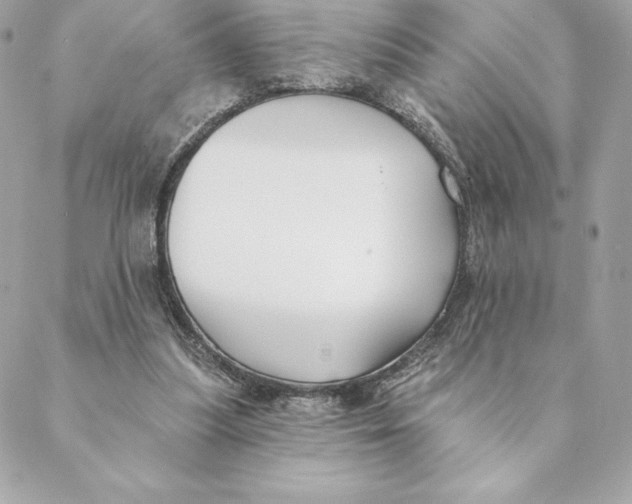 X0000088570251200706151653